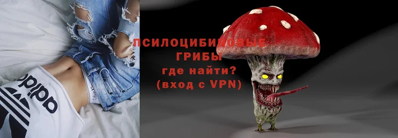 Псилоцибиновые грибы MAGIC MUSHROOMS  Бирск 